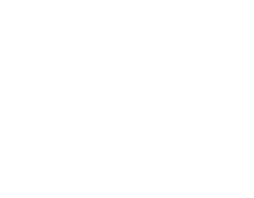 LLM model logo